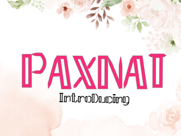 Paxnat: A Strategic Typography Choice for Modern Design and Brand Expression